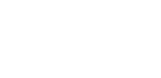 Activus